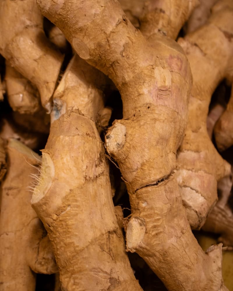 Burdock Root + Ginger
